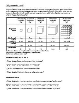 cell size and surface area to volume ratio worksheet answer key